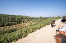 Horseback riding and wine tour (private tour)