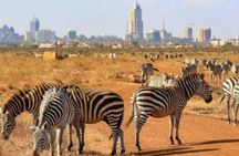 Day tour to Nairobi National Park and Giraffe Centre 
