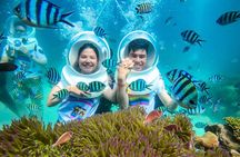 Phu Quoc Paradise Night Tour with Nautilus Sunset Cruise