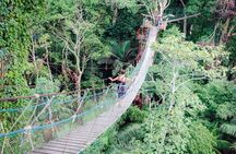 Amazon Jungle 3-Day Tour from Puerto Maldonado