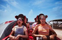Abu Dhabi Private Full Day Sightseeing with Ferrari World Ticket