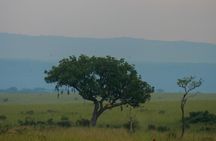 Exploring The Mighty Falls In Uganda
