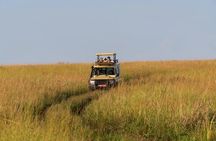 Exploring The Mighty Falls In Uganda