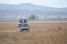 2 Days -1 Night - Safari to Mikumi National Park from Zanzibar