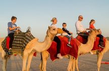 Private Morning Desert Safari With Camel Ride