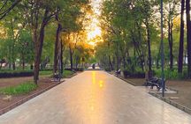 Mexico City Centro Historico Private Tour