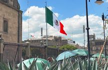 Mexico City Centro Historico Private Tour
