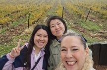 Private Winery and Lunch Experience an hour from Madrid