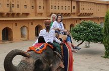 Jaipur: Full-day Jaipur Tour by Private Car and Local Guide