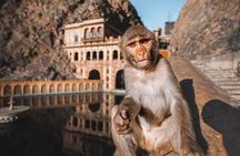 Jaipur: Full-day Jaipur Tour by Private Car and Local Guide