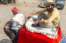 Jaipur: Full-day Jaipur Tour by Private Car and Local Guide