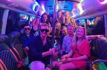 Private Party Bus Shared Tour in Singapore