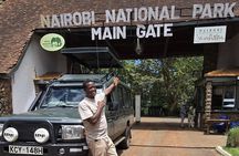 Nairobi National Park Half Day Tour with Landcruiser with Pickup
