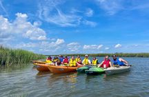 Private Hilton Head Guided Kayak Nature Tour