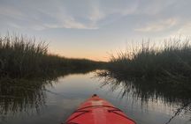 Private Hilton Head Guided Kayak Nature Tour