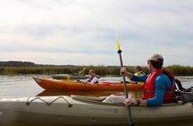 Private Hilton Head Guided Kayak Nature Tour