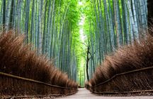Kyoto Private Full Day Tour by Car