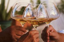 Gastronomic Wine Tasting Experience Guided by a Sommelier