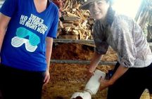 Rio Celeste Funny Milking & Farming Experience