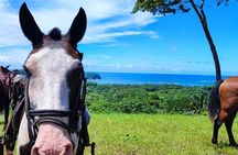 Horseback Riding in Puerto Carrillo: Beach & Jungle