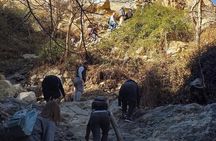 Multi Day Tour in the Desert and Cities of Morocco