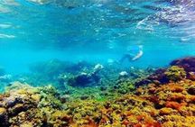 Catamaran Cruise with Dunns River Falls from Montego Bay 