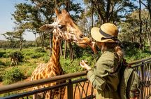 Nairobi National Park, Elephant Orphanage and Giraffe Centre