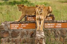 Nairobi National Park, Elephant Orphanage and Giraffe Centre