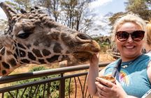 Nairobi National Park And Giraffe Centre