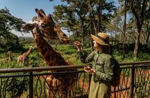 Nairobi National Park And Giraffe Centre