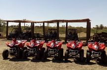 Marrakech Quad Bike Activity in desert palmeraies grove