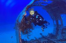 Certified Diver: 2-Tank Deep Wreck and Shallow Reef Dive Off Oahu