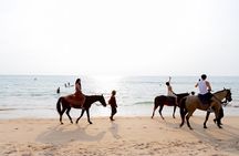 Phuket Beach and Horse Rides 1 Hour Experience