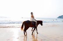 Phuket Beach and Horse Rides 1 Hour Experience