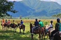 Jungle Horseback & Cave Tube Adventure