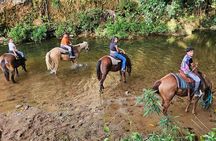 Jungle Horseback & Cave Tube Adventure