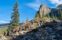 Lake Louise, Moraine Lake, Lake Minnewanka & Johnston Canyon Tour