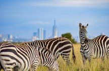 Early Morning Group Joining Safari To Nairobi National Park