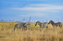 Early Morning Group Joining Safari To Nairobi National Park