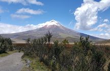 Cotopaxi Volcano Full-Day Tour from Quito