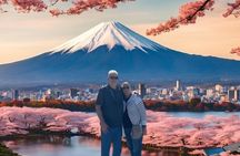 From Tokyo-MT Fuji PVT 1 Day Customized Tour with English Driver