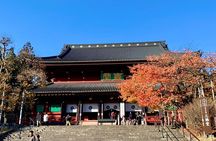 Nikko Private Tour with Temples and Nature and World Heritage