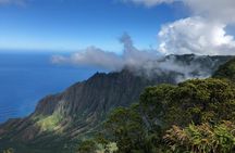 Private Kauai Island Tour : Waimea Canyon, Kalalau Lookout + More