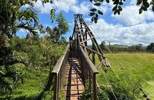 Private Kauai Island Tour : Waimea Canyon, Kalalau Lookout + More