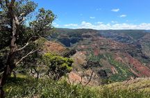 Private Kauai Island Tour : Waimea Canyon, Kalalau Lookout + More