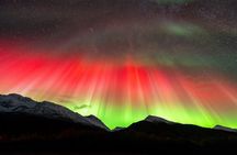 From Tromsø: OFFICIAL Northern Lights Safari by Minibus