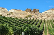 Central Otago Wine Tour Small Group, Expert Guide & Scenic Views