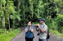 Kalapathar Sunrise, Birdwatching and Village Tour