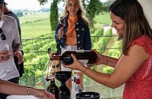 Saint Emilion Half Day Ebike and Wine Tour with Picnic.
