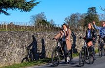 Saint Emilion Half Day Ebike and Wine Tour with Picnic.